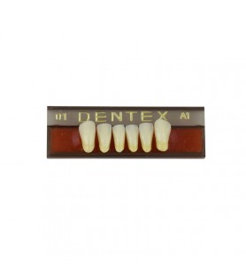 Zęby akrylowe przednie dolne 01, kolor A1, 6 szt.
