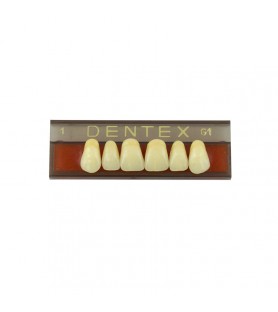 Zęby akrylowe przednie górne nr 1, kolor G1, 6 szt.