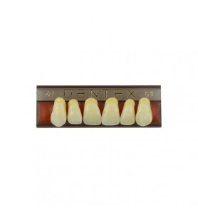 Zęby akrylowe przednie górne nr 41, kolor G1, 6 szt.