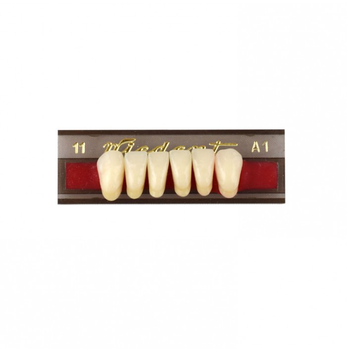 Estetic zęby akrylowe przednie dolne 011, kolor A1, 6 szt.