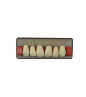 Estetic zęby akrylowe  przednie górne 48, kolor A2, 6 szt.