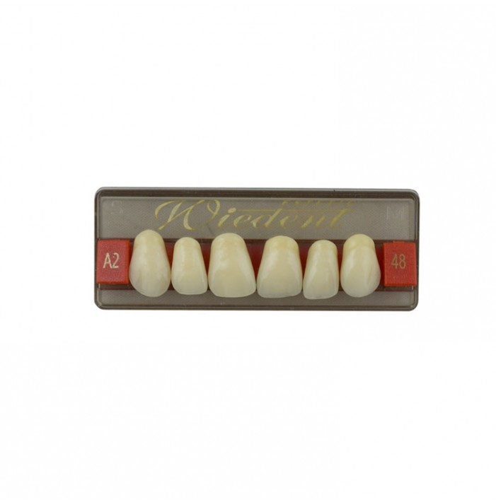 Estetic zęby akrylowe  przednie górne 48, kolor A2, 6 szt.