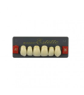 Estetic zęby akrylowe  przednie górne 35, kolor A1, 6 szt.