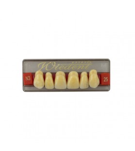 Estetic zęby akrylowe  przednie górne 25, kolor N3, 6 szt.