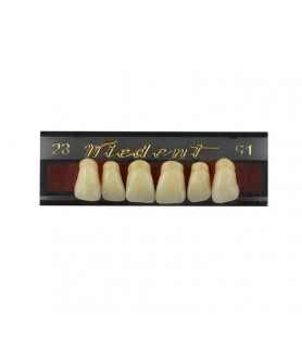 Estetic zęby akrylowe  przednie górne 23, kolor G1, 6 szt.