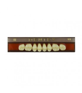 Zęby akrylowe boczne górne III, kolor R1, 8 szt.