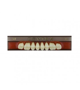 Zęby akrylowe boczne górne VIII, kolor A1, 8 szt.
