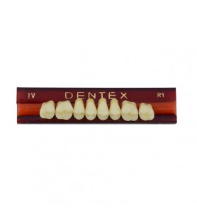 Zęby akrylowe boczne górne IV, kolor R1, 8 szt.