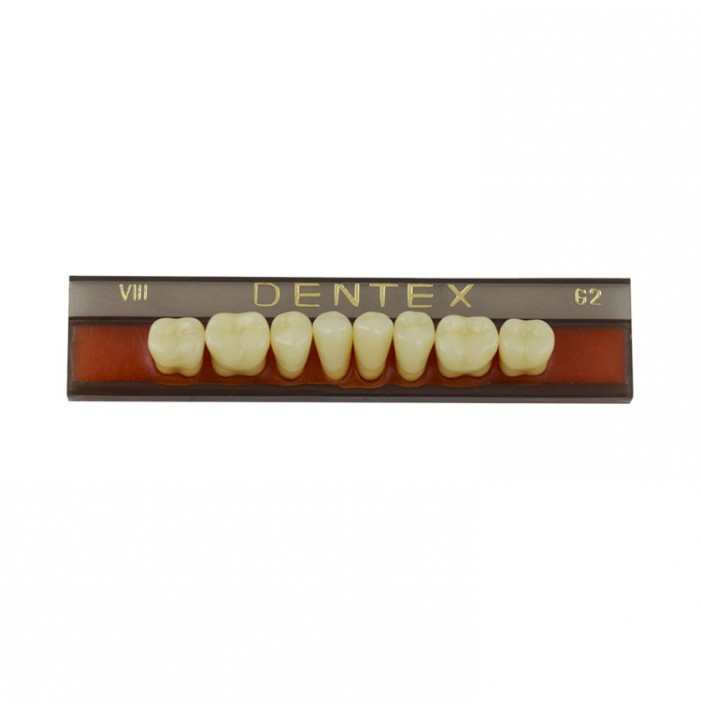 Zęby akrylowe boczne dolne VIII, kolor G2, 8 szt.