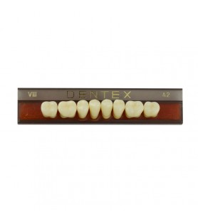 Zęby akrylowe boczne dolne VIII, kolor A2, 8 szt.