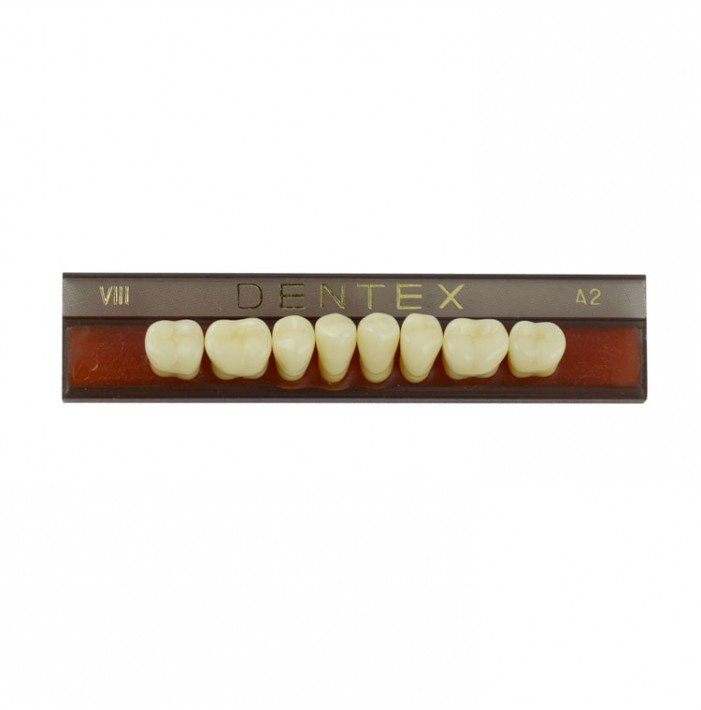Zęby akrylowe boczne dolne VIII, kolor A2, 8 szt.