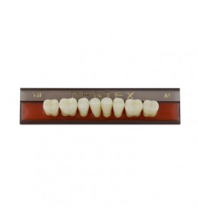 Zęby akrylowe boczne dolne VIII, kolor A1, 8 szt.