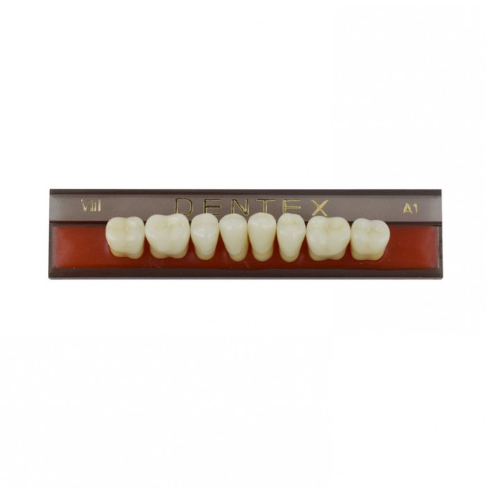Zęby akrylowe boczne dolne VIII, kolor A1, 8 szt.