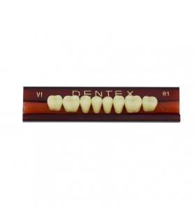 Zęby akrylowe boczne dolne VI, kolor R1, 8 szt.