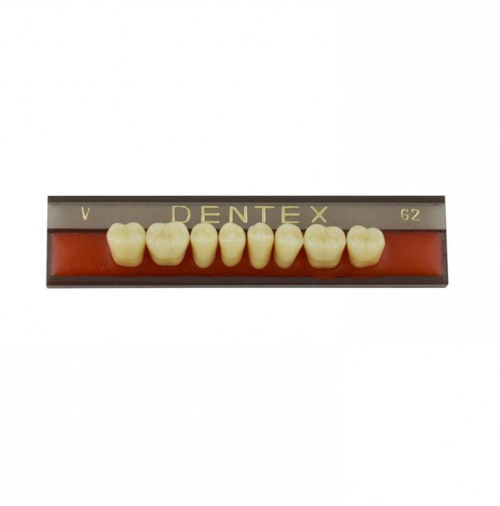 Zęby akrylowe boczne dolne V, kolor G2, 8 szt.