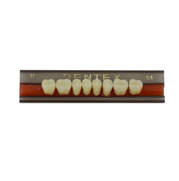 Zęby akrylowe boczne dolne V, kolor G1, 8 szt.