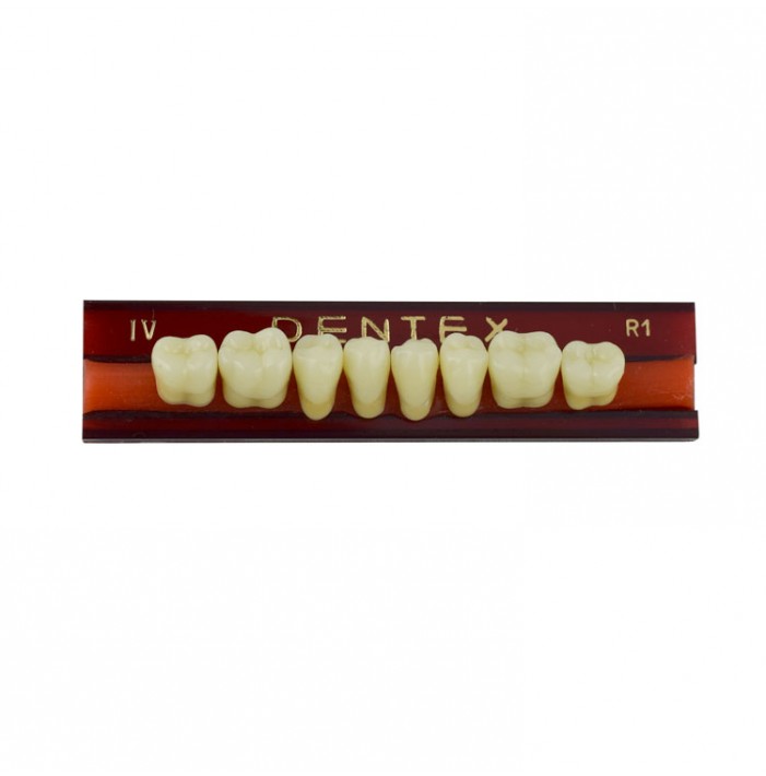 Zęby akrylowe boczne dolne IV, kolor R1, 8 szt.