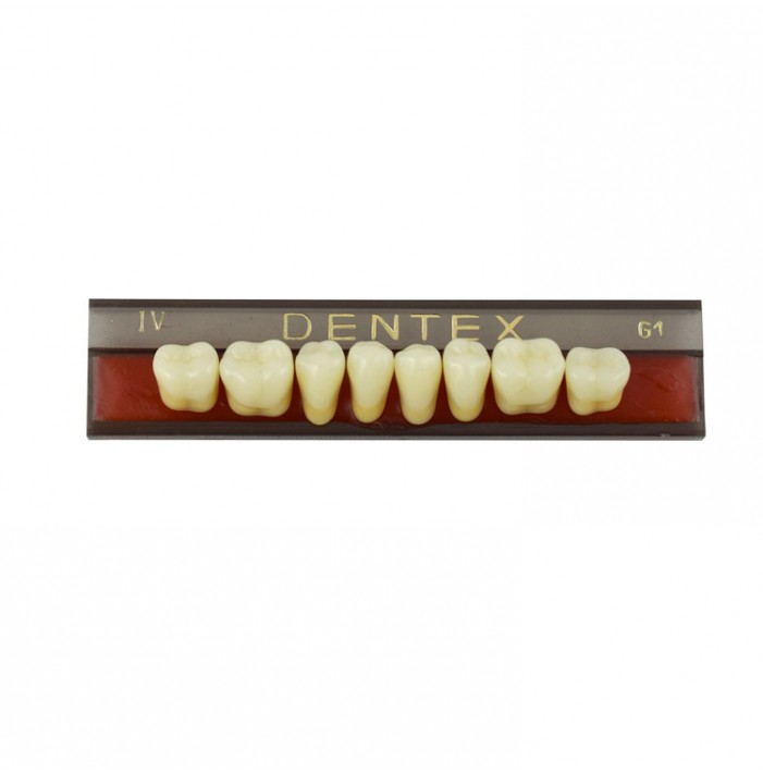 Zęby akrylowe boczne dolne IV, kolor G1, 8 szt.
