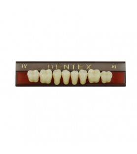 Zęby akrylowe boczne dolne IV, kolor A1, 8 szt.