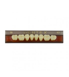 Zęby akrylowe boczne dolne III, kolor R1, 8 szt.