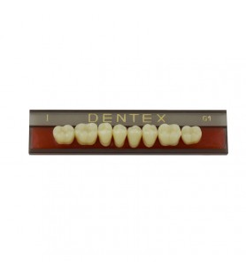 Zęby akrylowe boczne dolne I, kolor G1, 8 szt.