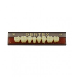 Zęby akrylowe boczne dolne III, kolor G1, 8 szt.