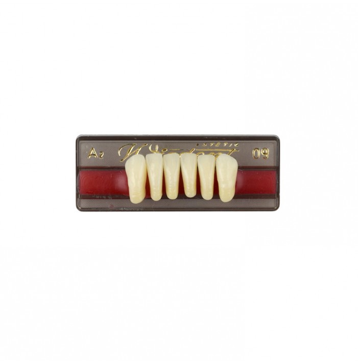 Estetic zęby akrylowe przednie dolne 09, kolor A2, 6 szt.