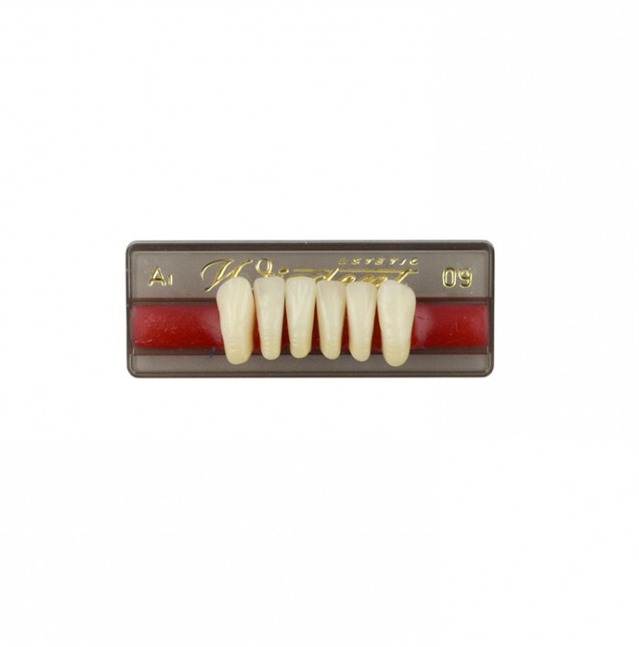 Estetic zęby akrylowe przednie dolne 09, kolor A1, 6 szt.