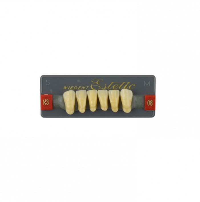 Estetic zęby akrylowe przednie dolne 08, kolor N3, 6 szt.