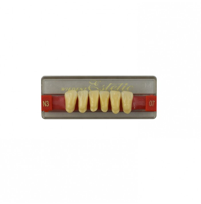 Estetic zęby akrylowe przednie dolne 07, kolor N3, 6 szt.