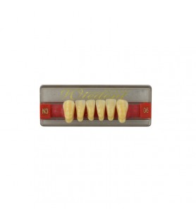 Estetic zęby akrylowe przednie dolne 06, kolor N3, 6 szt.