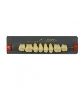 Estetic zęby akrylowe boczne górne 77, kolor G3, 8 szt.