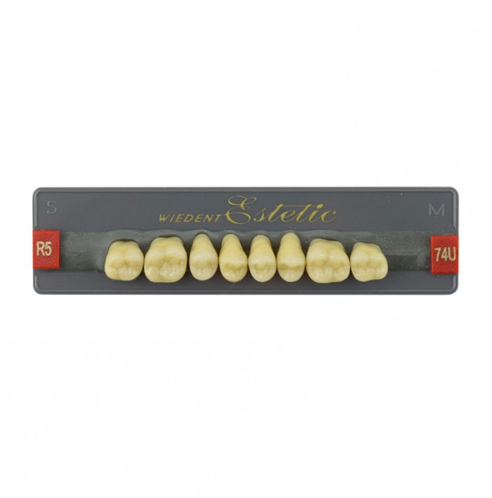 Estetic zęby akrylowe boczne górne 74, kolor R5, 8 szt.