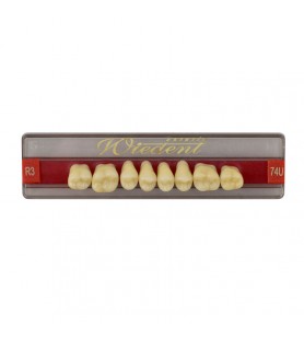 Estetic zęby akrylowe boczne górne 74, kolor R3, 8 szt.