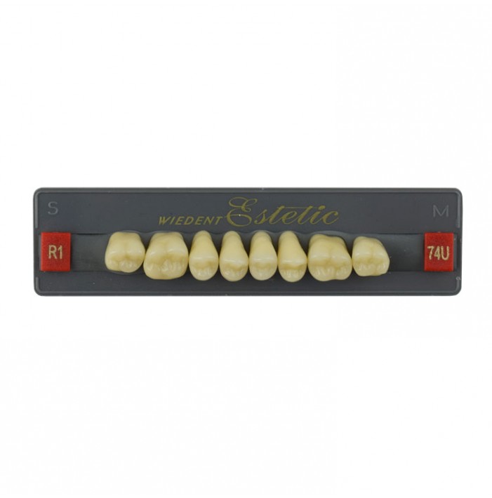 Estetic zęby akrylowe boczne górne 74, kolor R1, 8 szt.