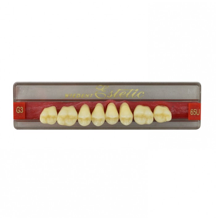 Estetic zęby akrylowe boczne górne 65, kolor G3, 8 szt.