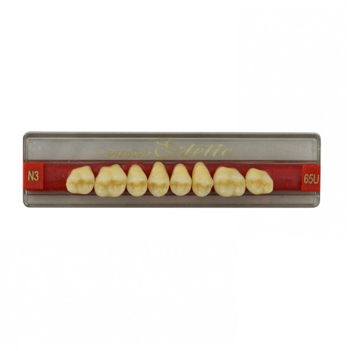 Estetic zęby akrylowe boczne górne 65, kolor N3, 8 szt.