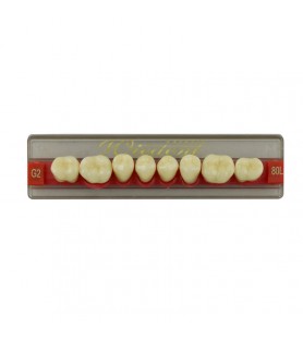 Estetic zęby akrylowe boczne dolne 80, kolor G2, 8 szt.
