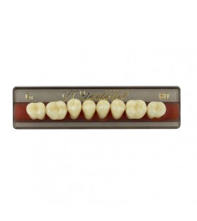 Estetic zęby akrylowe boczne dolne 80, kolor G1, 8 szt.