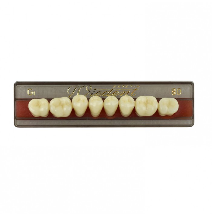 Estetic zęby akrylowe boczne dolne 80, kolor G1, 8 szt.