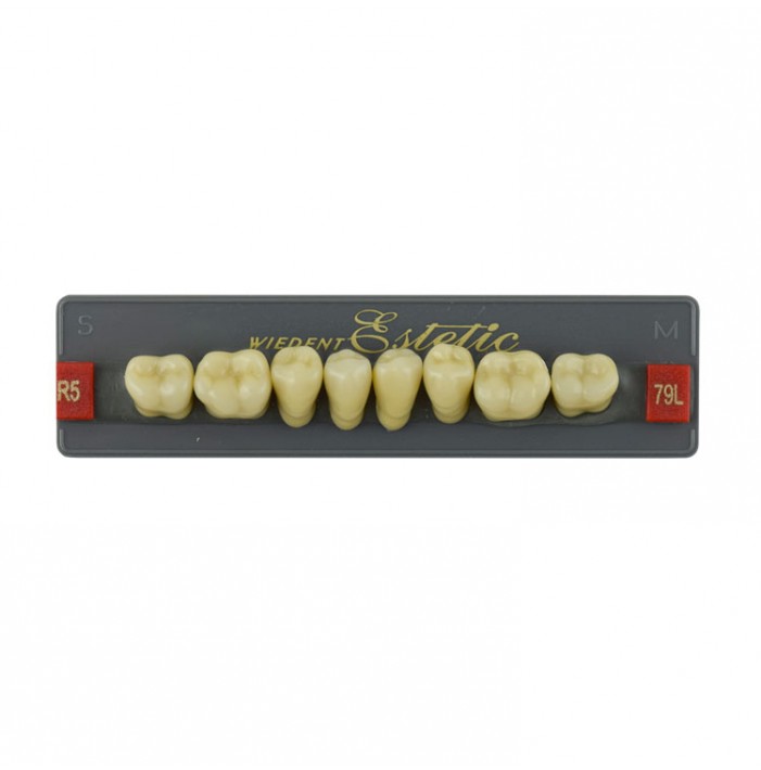 Estetic zęby akrylowe boczne dolne 79, kolor R5, 8 szt.