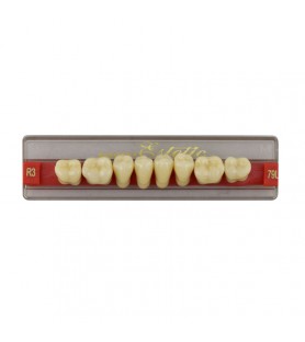 Estetic zęby akrylowe boczne dolne 79, kolor R3, 8 szt.