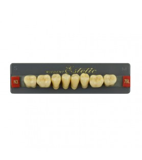 Estetic zęby akrylowe boczne dolne 79, kolor N3, 8 szt.