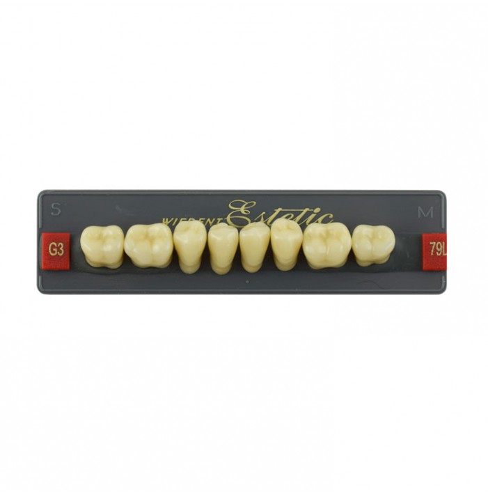 Estetic zęby akrylowe boczne dolne 79, kolor G3, 8 szt.