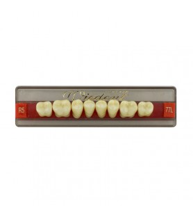 Estetic zęby akrylowe boczne dolne 77, kolor R5, 8 szt.