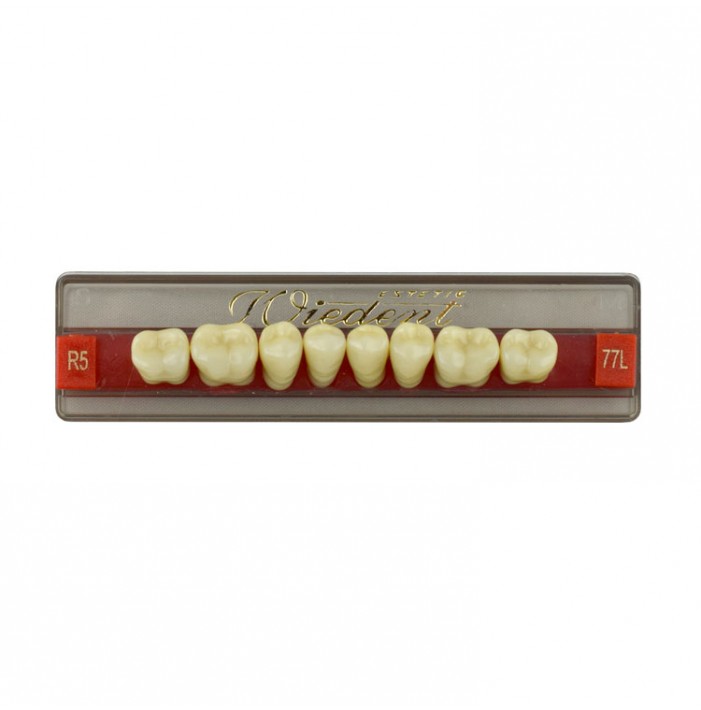 Estetic zęby akrylowe boczne dolne 77, kolor R5, 8 szt.