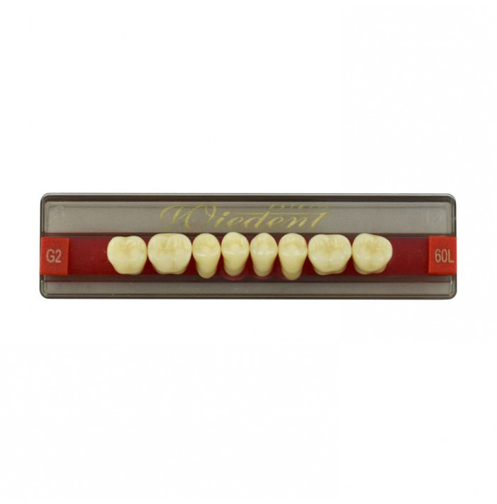 Estetic zęby akrylowe boczne dolne 60, kolor G2, 8 szt.