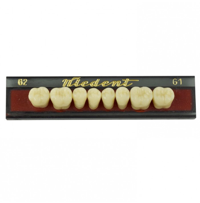 Estetic zęby akrylowe boczne dolne 62, kolor G1, 8 szt.
