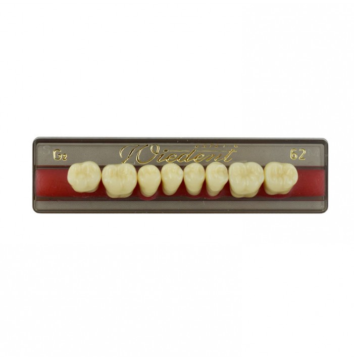 Estetic zęby akrylowe boczne dolne 62, kolor G2, 8 szt.