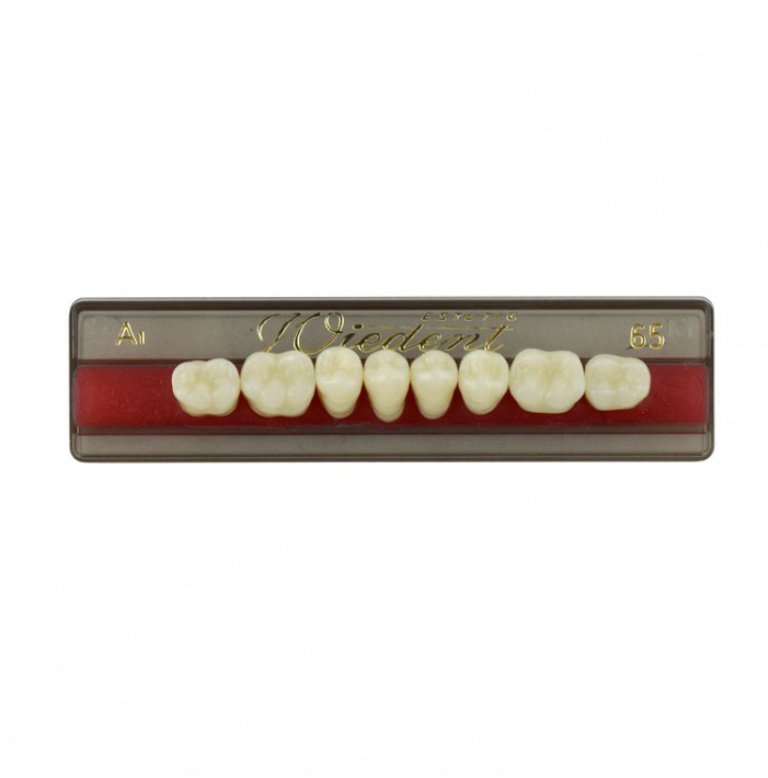 Estetic zęby akrylowe boczne dolne 65, kolor A1, 8 szt.